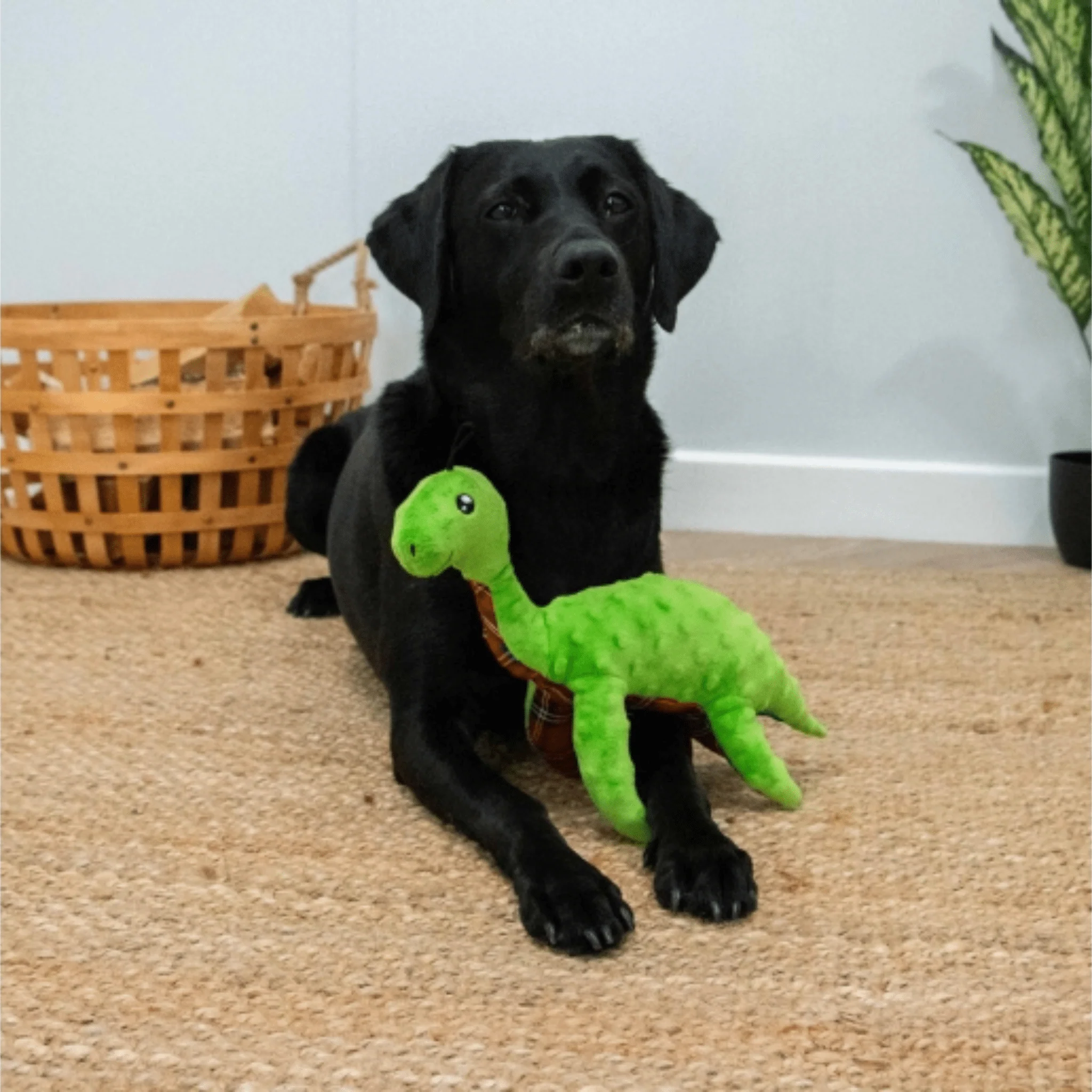 Ancol Cuddle Lottie Loch Ness Monster Dog Toy - Image 3