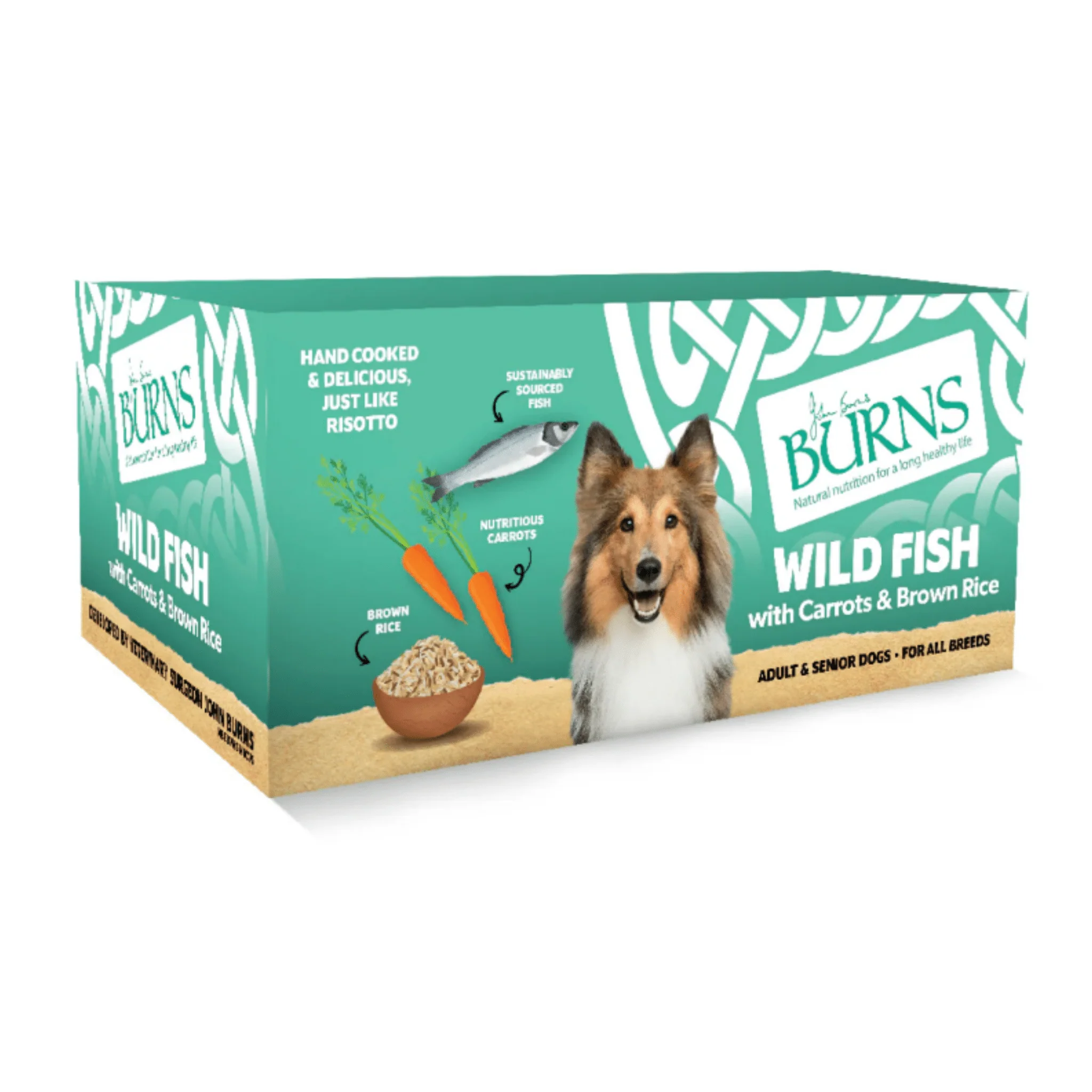Burns Wholesome Wild Fish Wet Dog Food