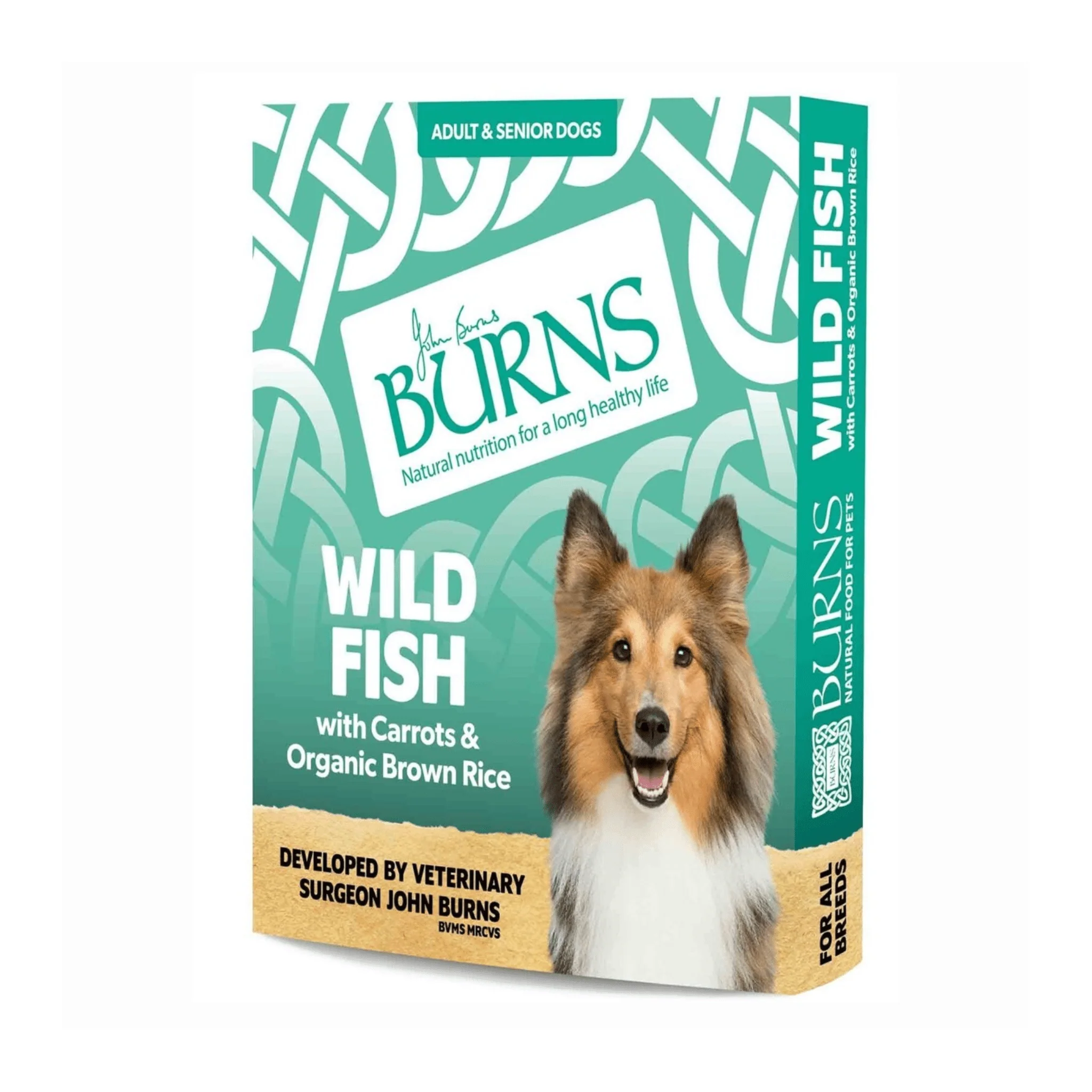Burns Wholesome Wild Fish Wet Dog Food - Image 2