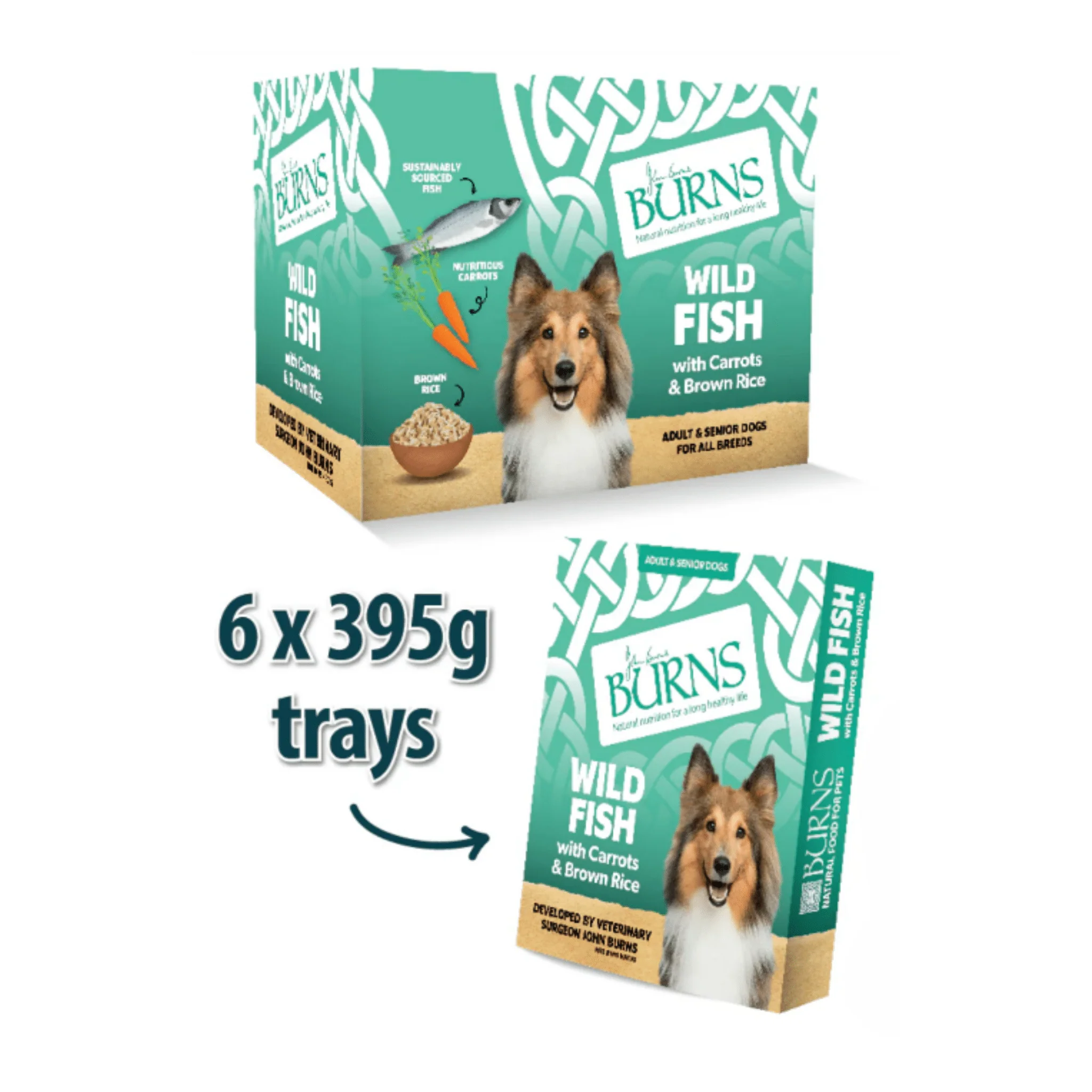 Burns Wholesome Wild Fish Wet Dog Food - Image 3