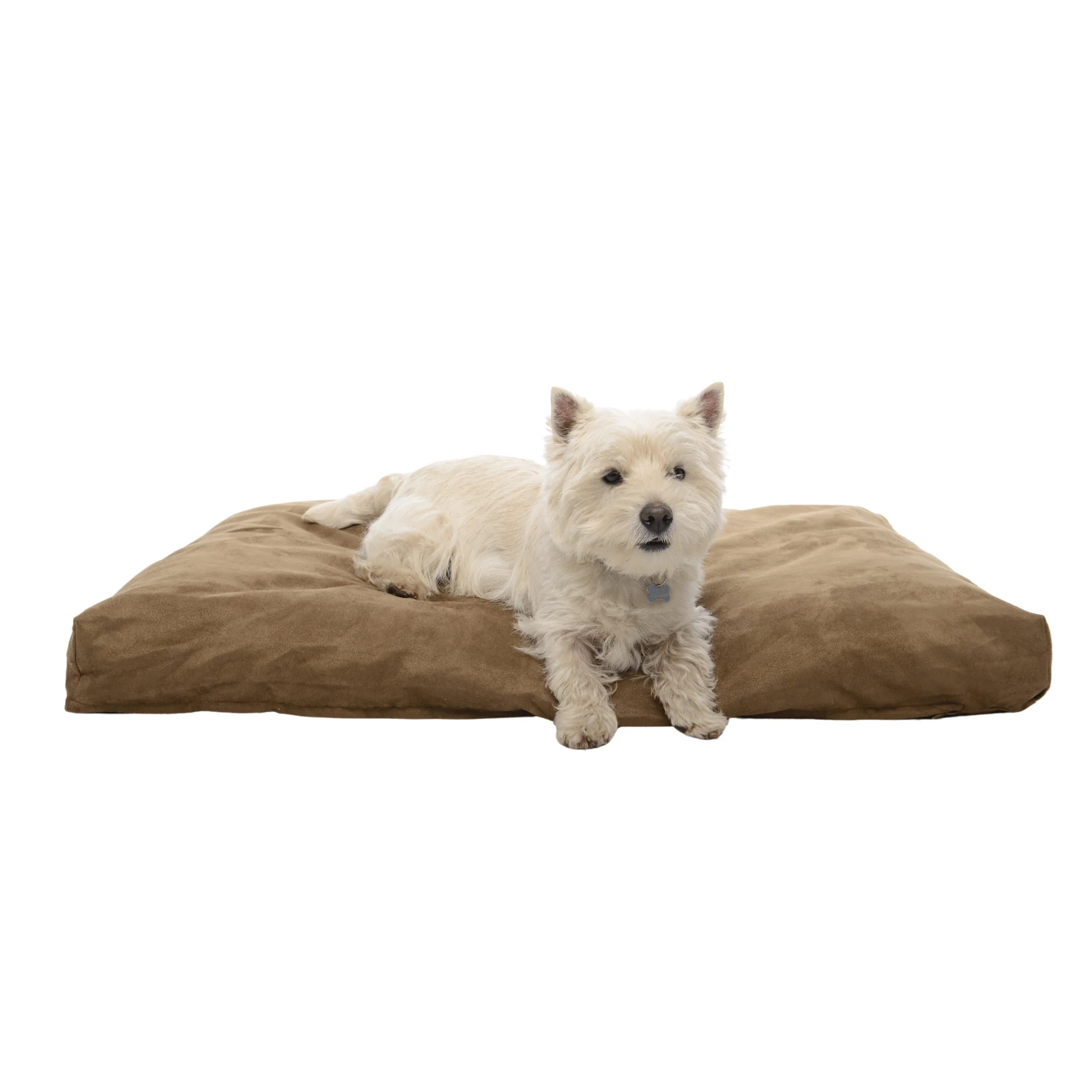 Buster Memory Foam Dog Bed - Camel - Image 4