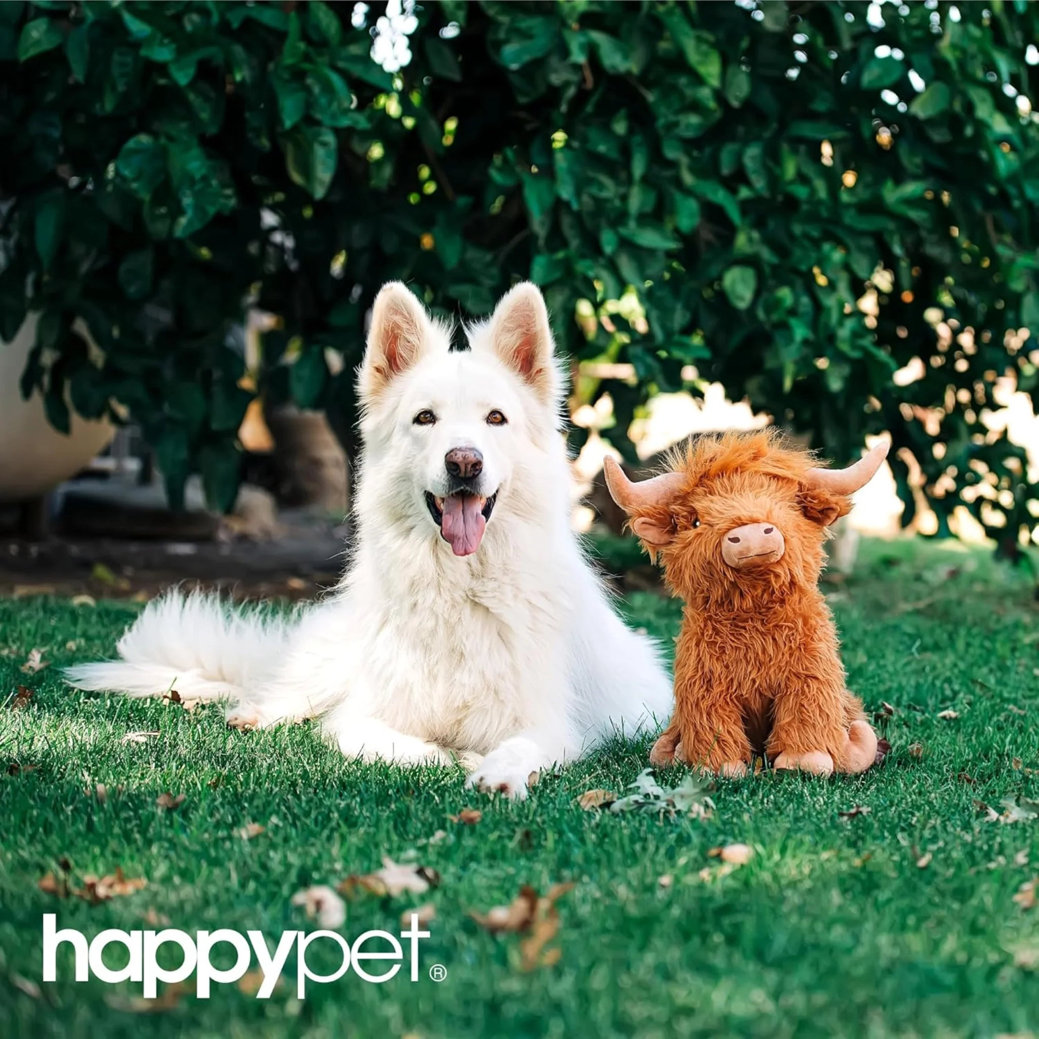 Happy Pet Jumbo Highland Cow Dog Toy - Image 2