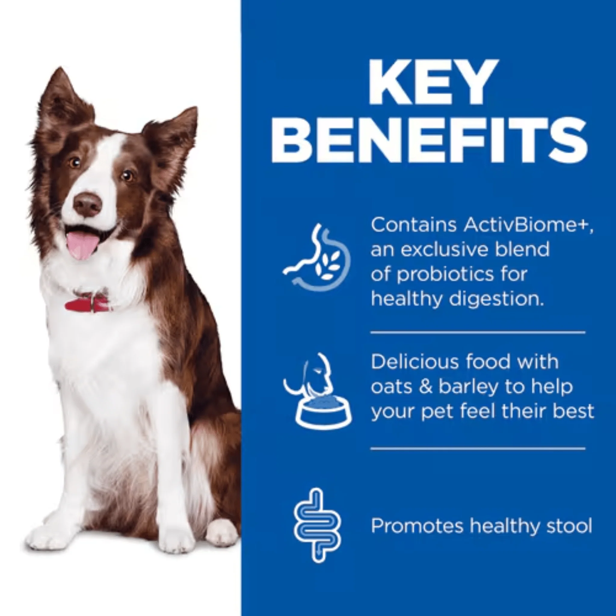 Hill's Perfect Digestion Adult Medium Dry Dog Food - Image 3