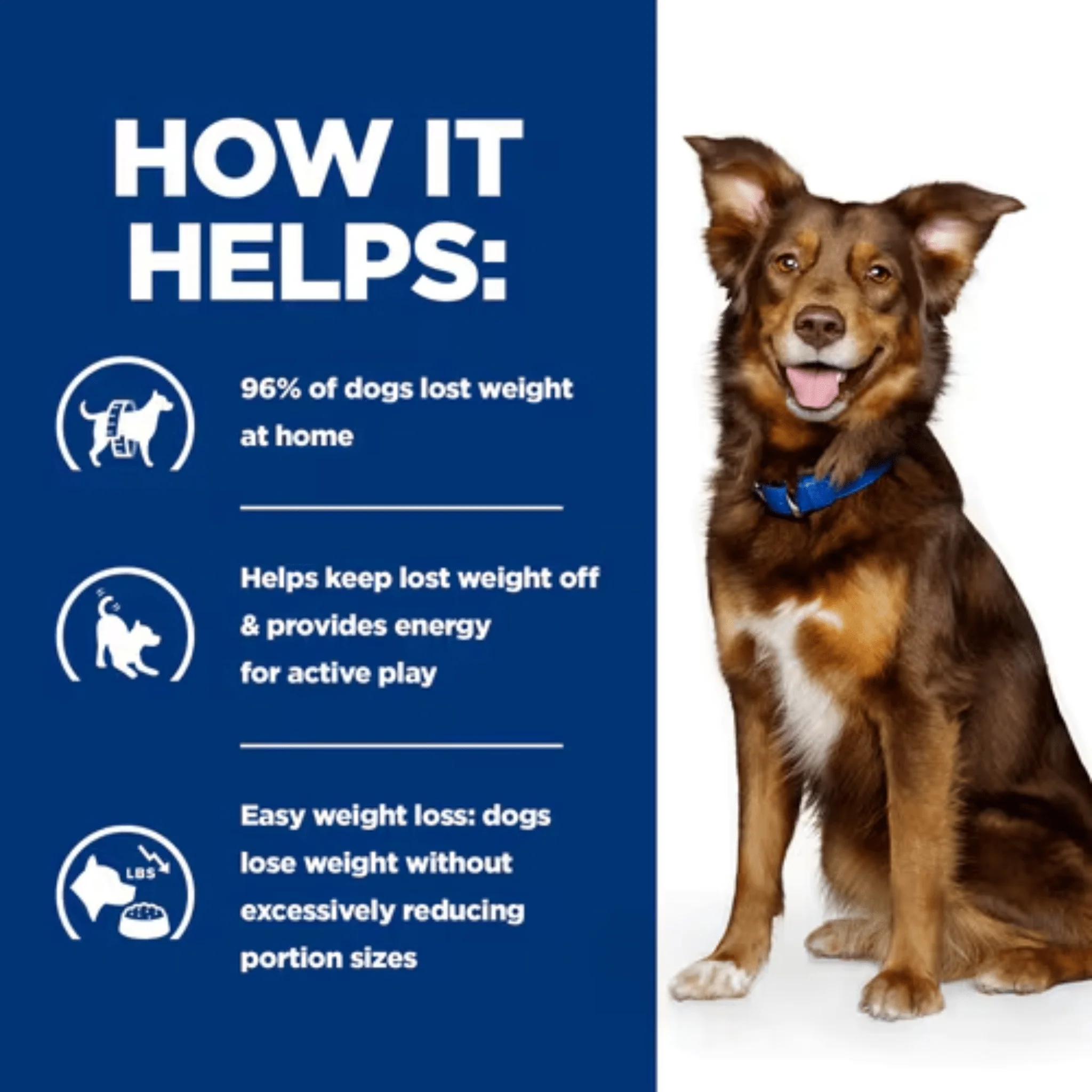 Hill's Prescription Diet Metabolic Dog Dry Food Chicken - Image 3