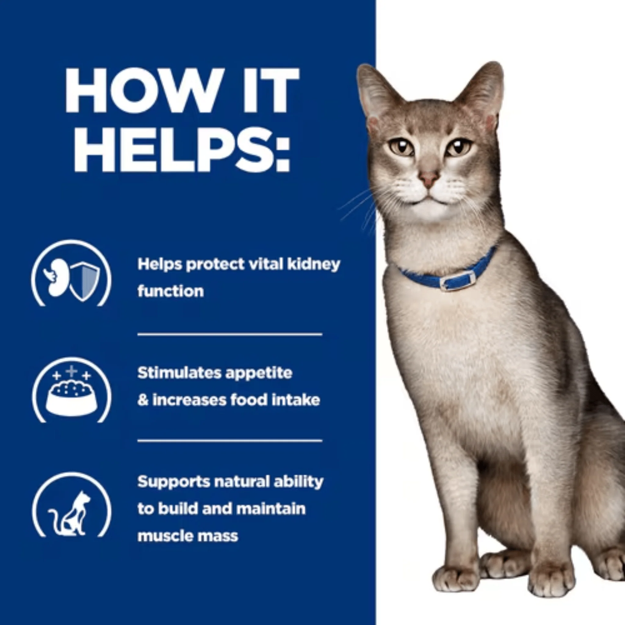 Hills Prescription K/D Kidney Care Salmon Wet Cat Food Pouches - Image 3