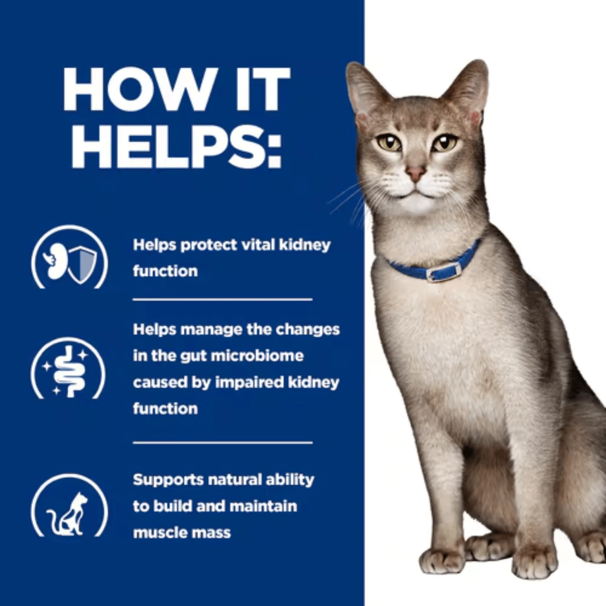 Hills Prescription K/D Kidney Care Stew for Adult Cats - Image 3