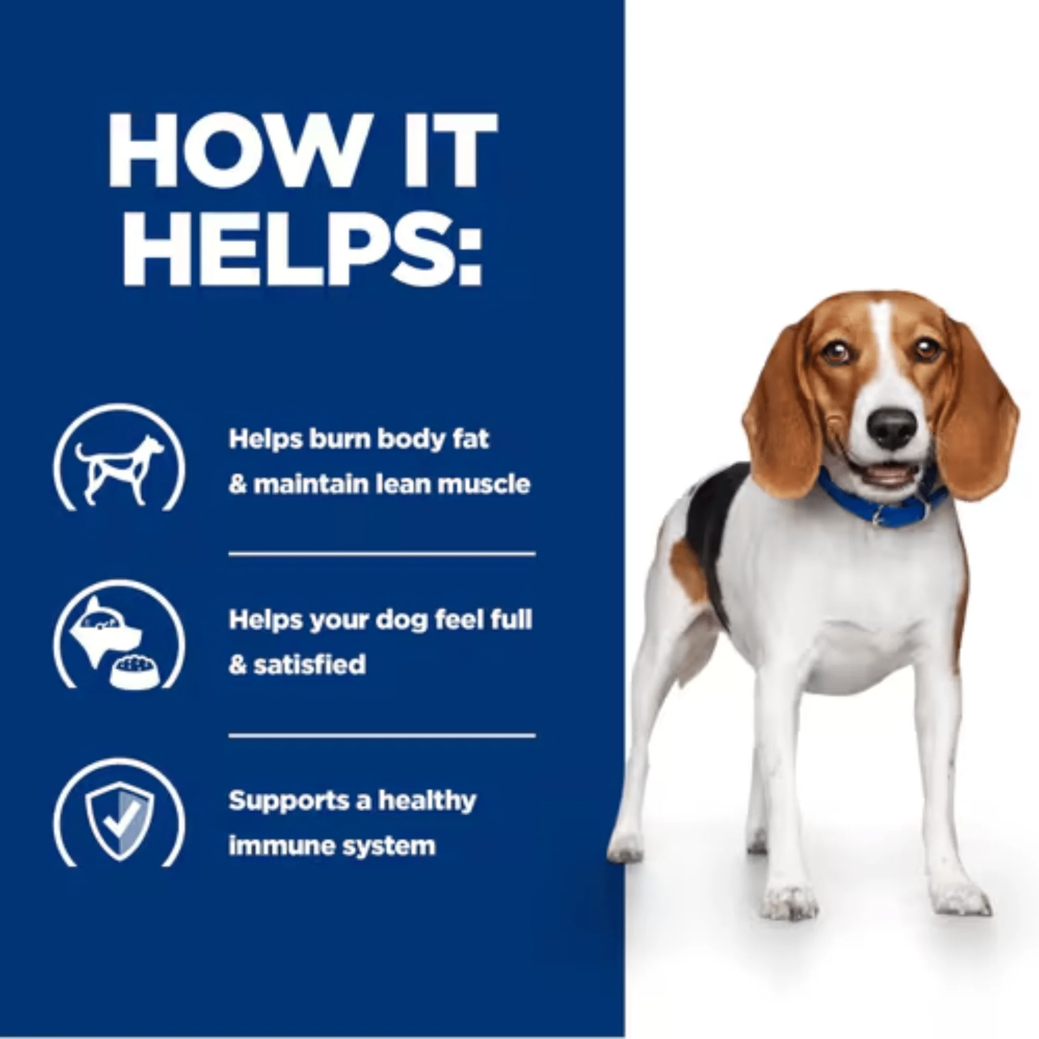 Hills Prescription R/D Weight Reduction Wet Dog Food - Image 3