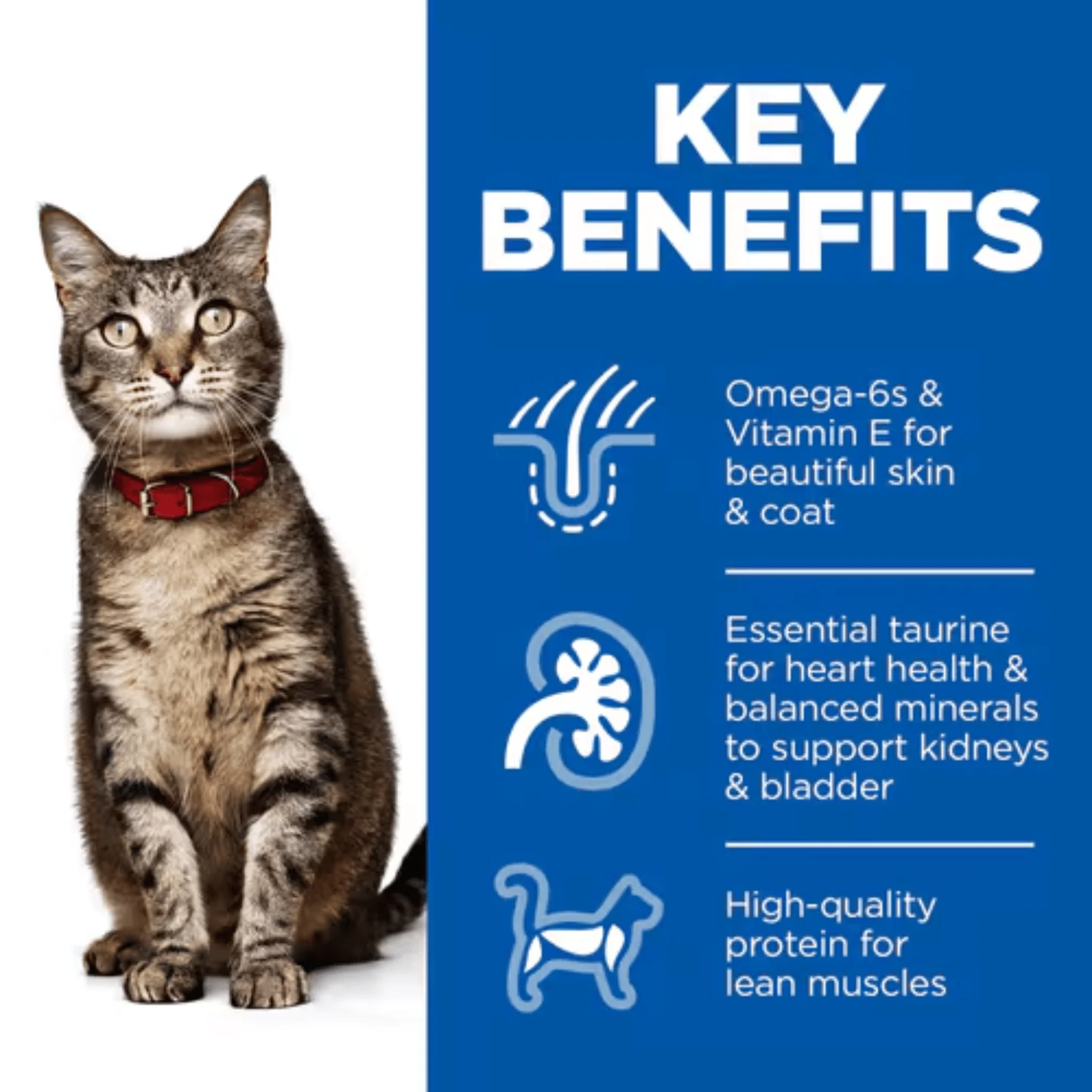 Hills Science Plan Adult Dry Cat Food Tuna - Image 3