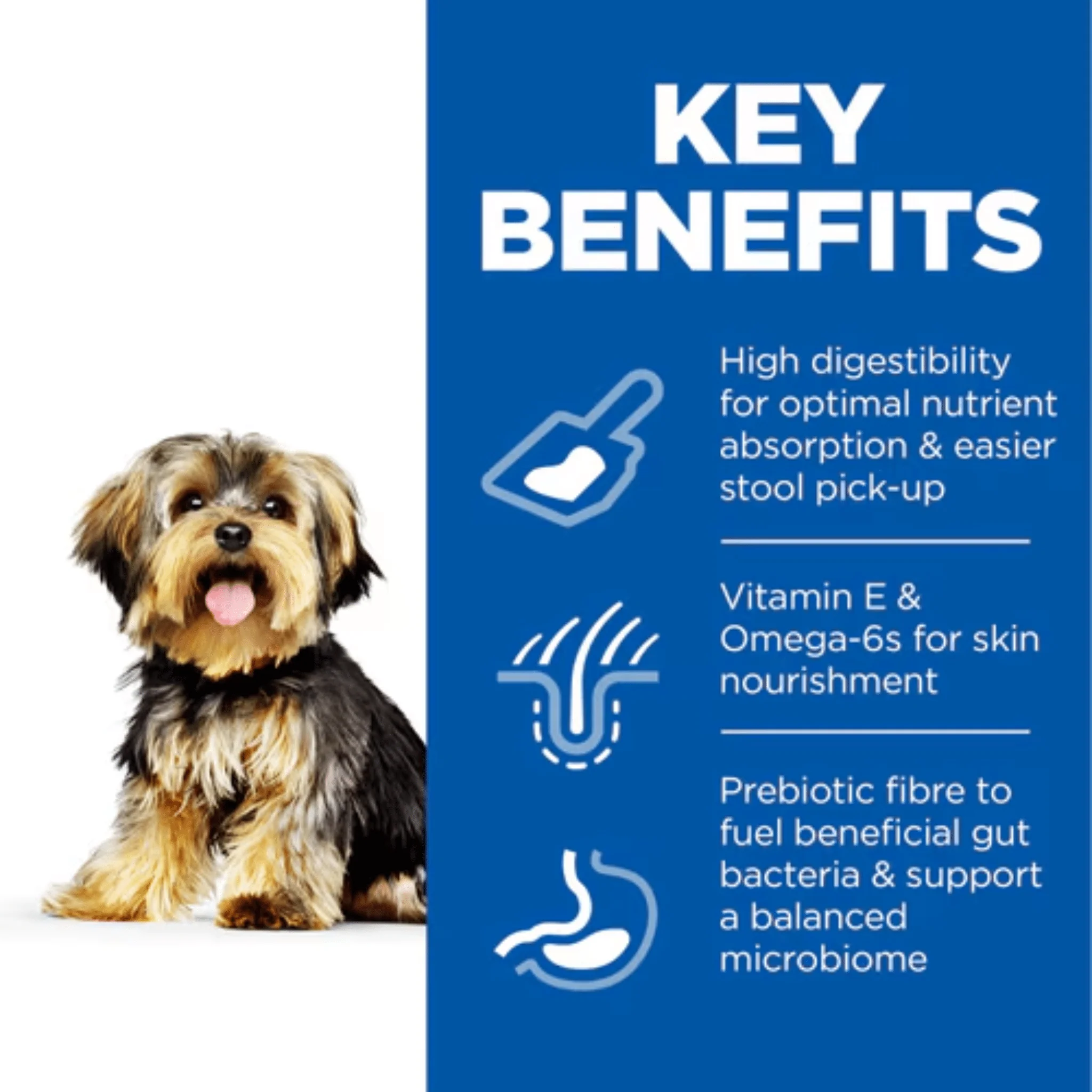 Hill's Science Plan Sensitive Stomach & Skin Small & Mini Dog Dry Food - Image 3