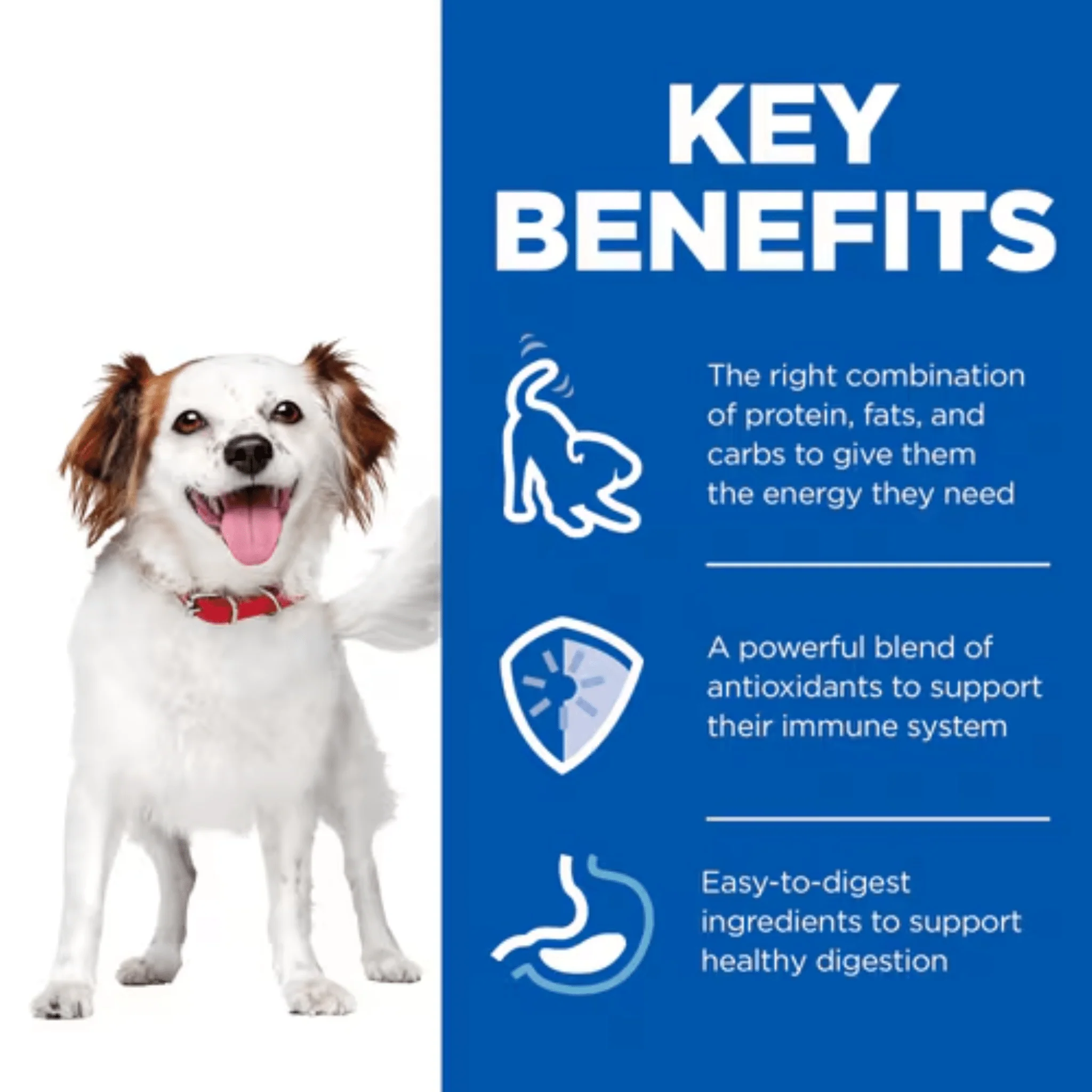 Hills Science Plan Small Dog Wet Food Chicken - Image 3