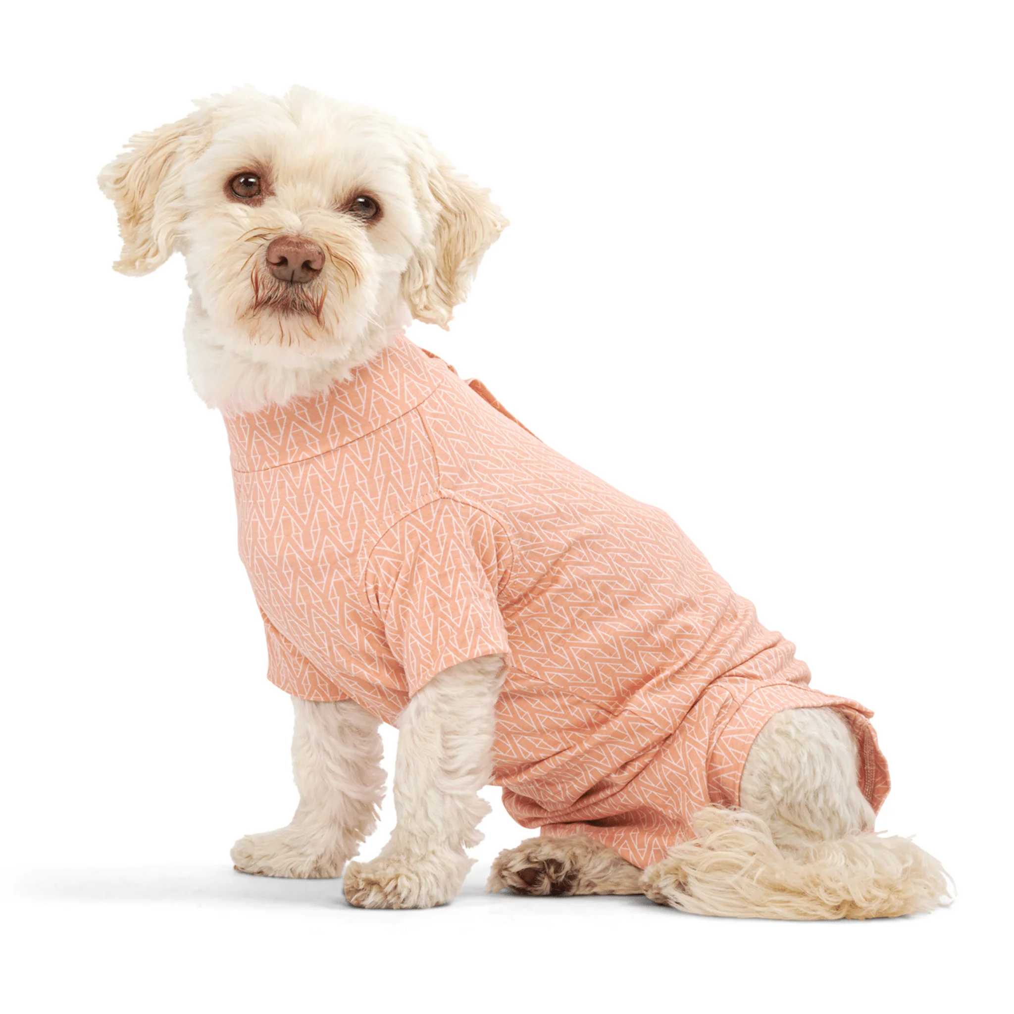 Kruuse BUSTER Body Suit Step'n Go For Dogs - Peach