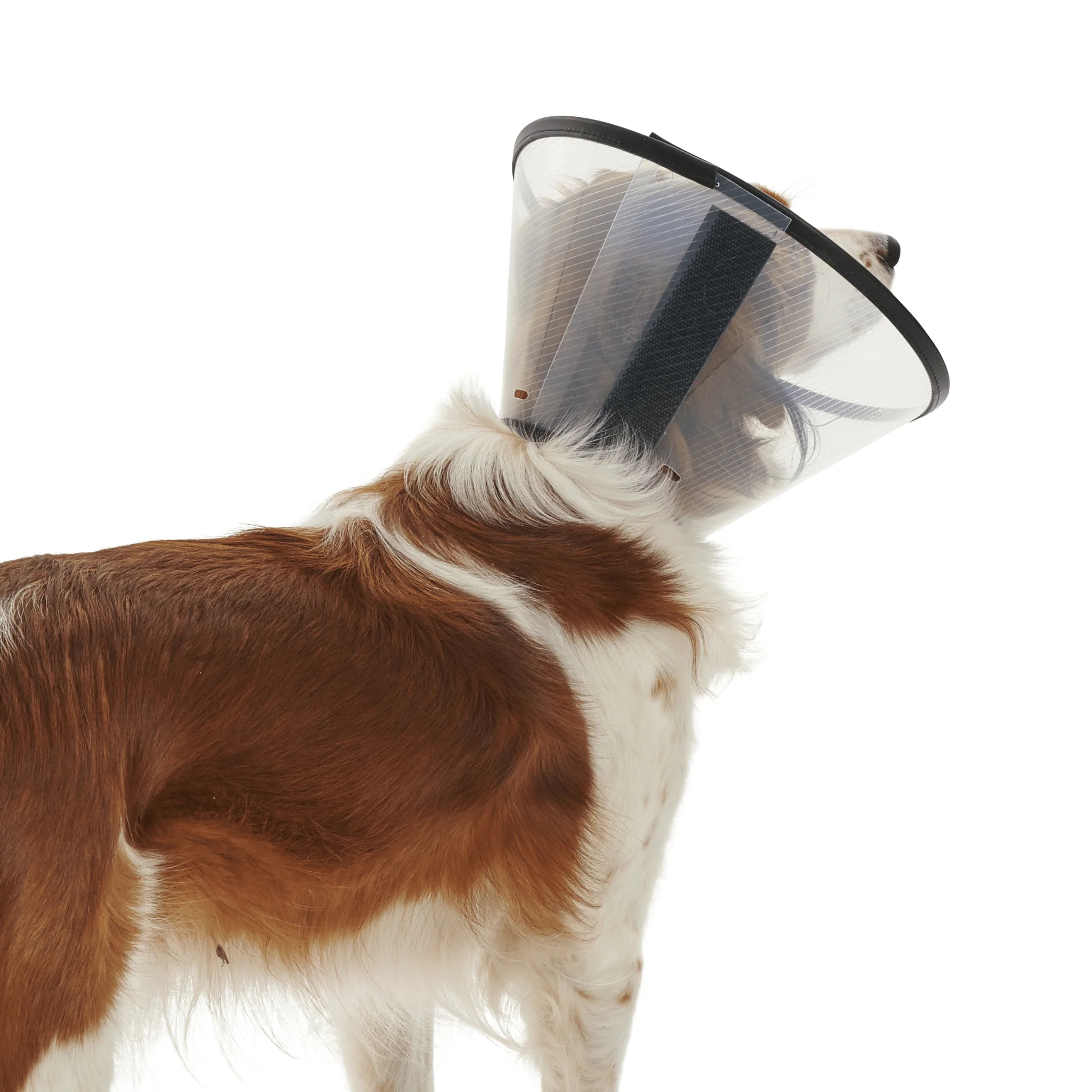 Kruuse BUSTER Quick Recovery Collar - Image 2