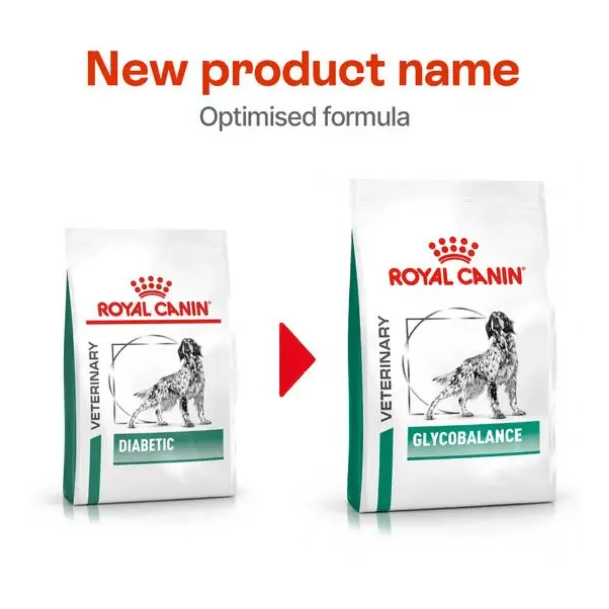 ROYAL CANIN® Glycobalance Adult Dry Dog Food - Image 2