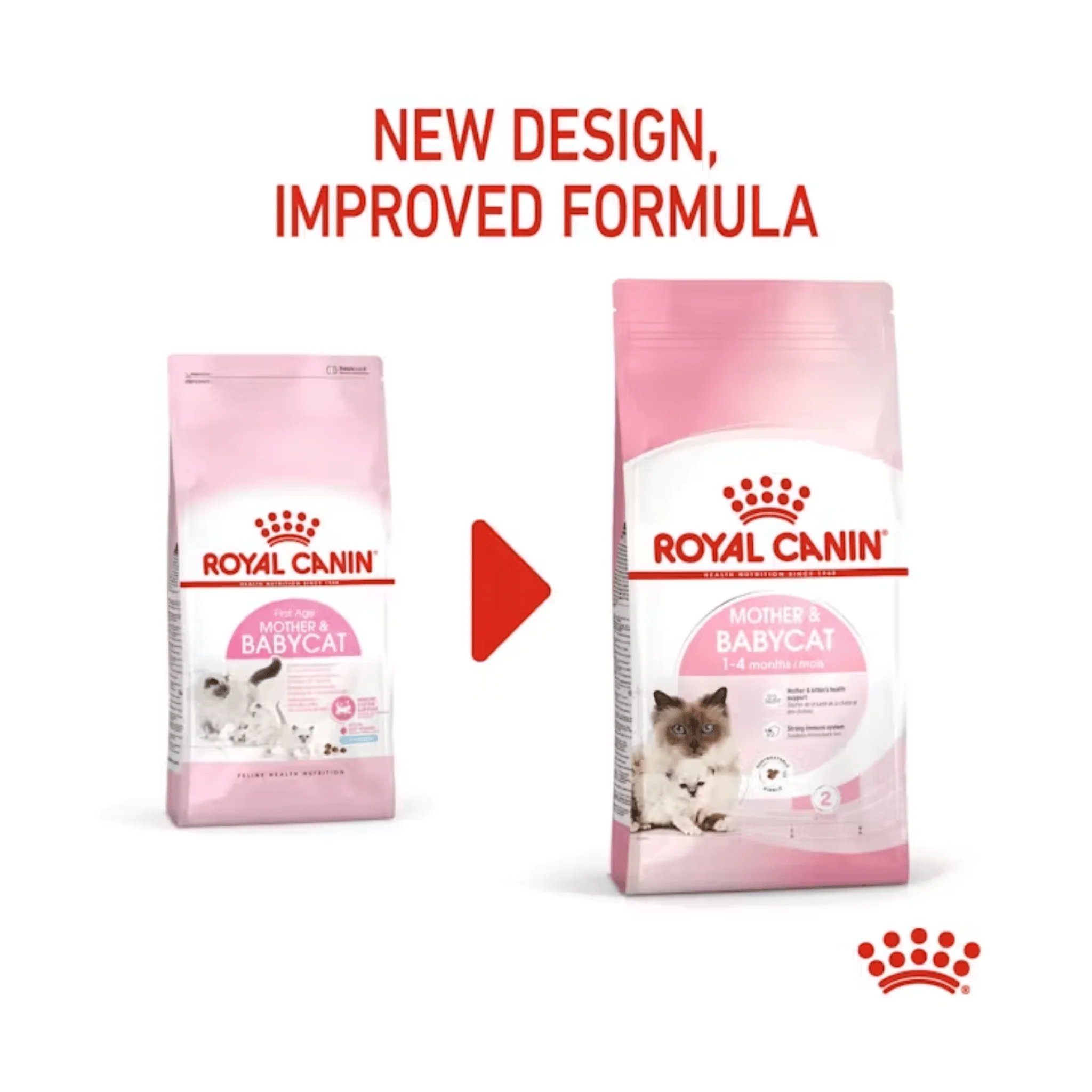 ROYAL CANIN® Feline Mother & Babycat Dry Food - Image 2