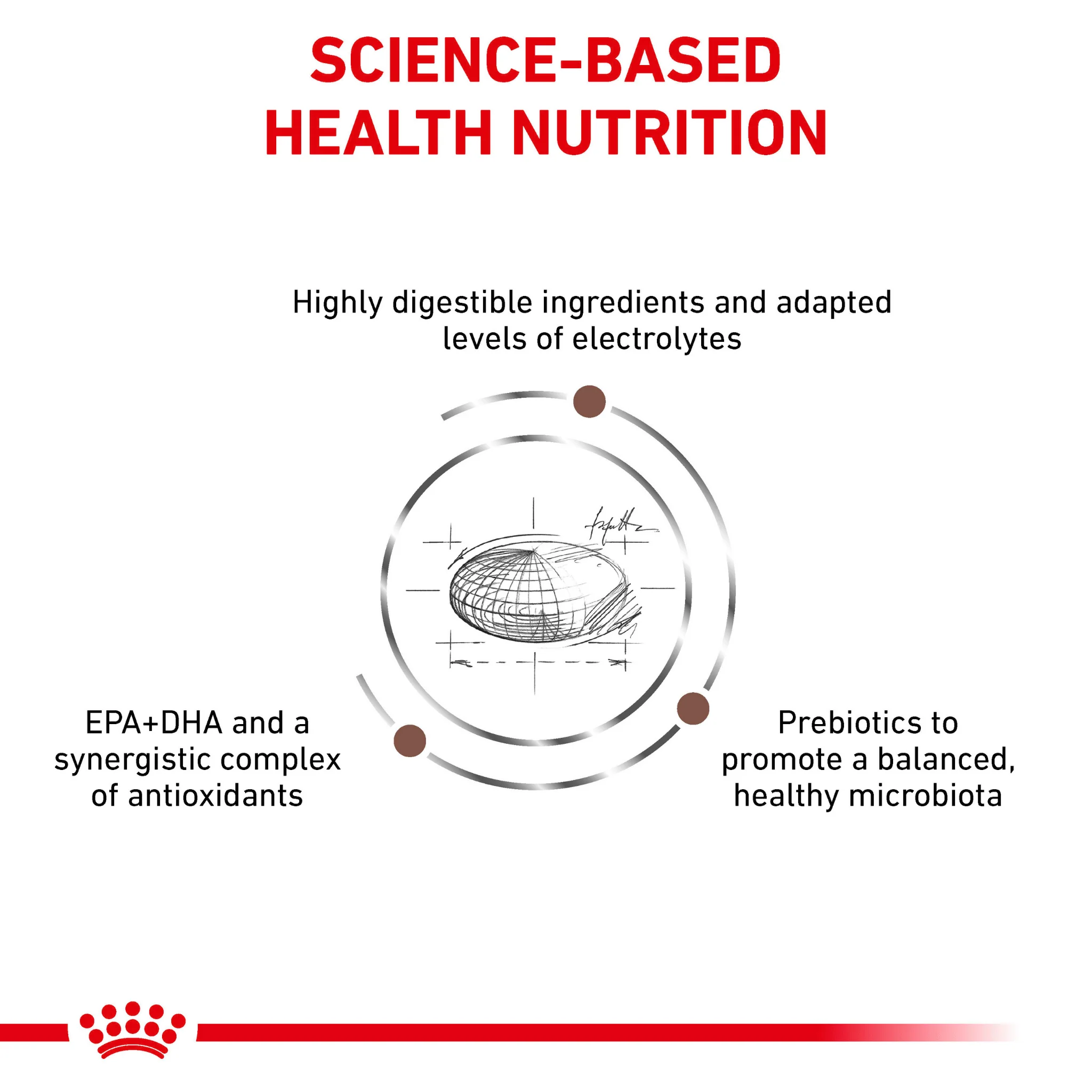 ROYAL CANIN® Gastrointestinal High Fibre Adult Dry Dog Food - Image 4