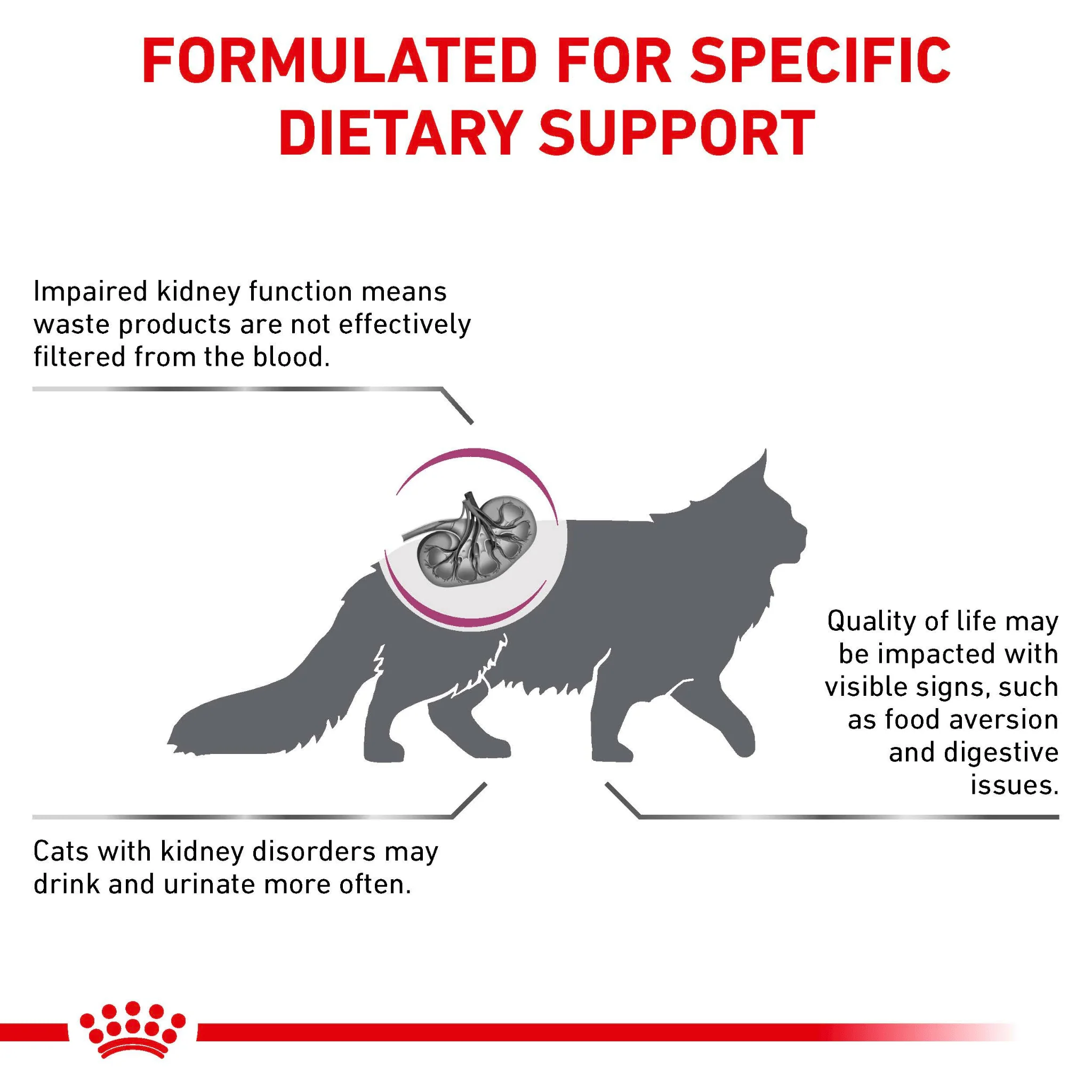 ROYAL CANIN® Renal Adult Dry Cat Food - Image 3